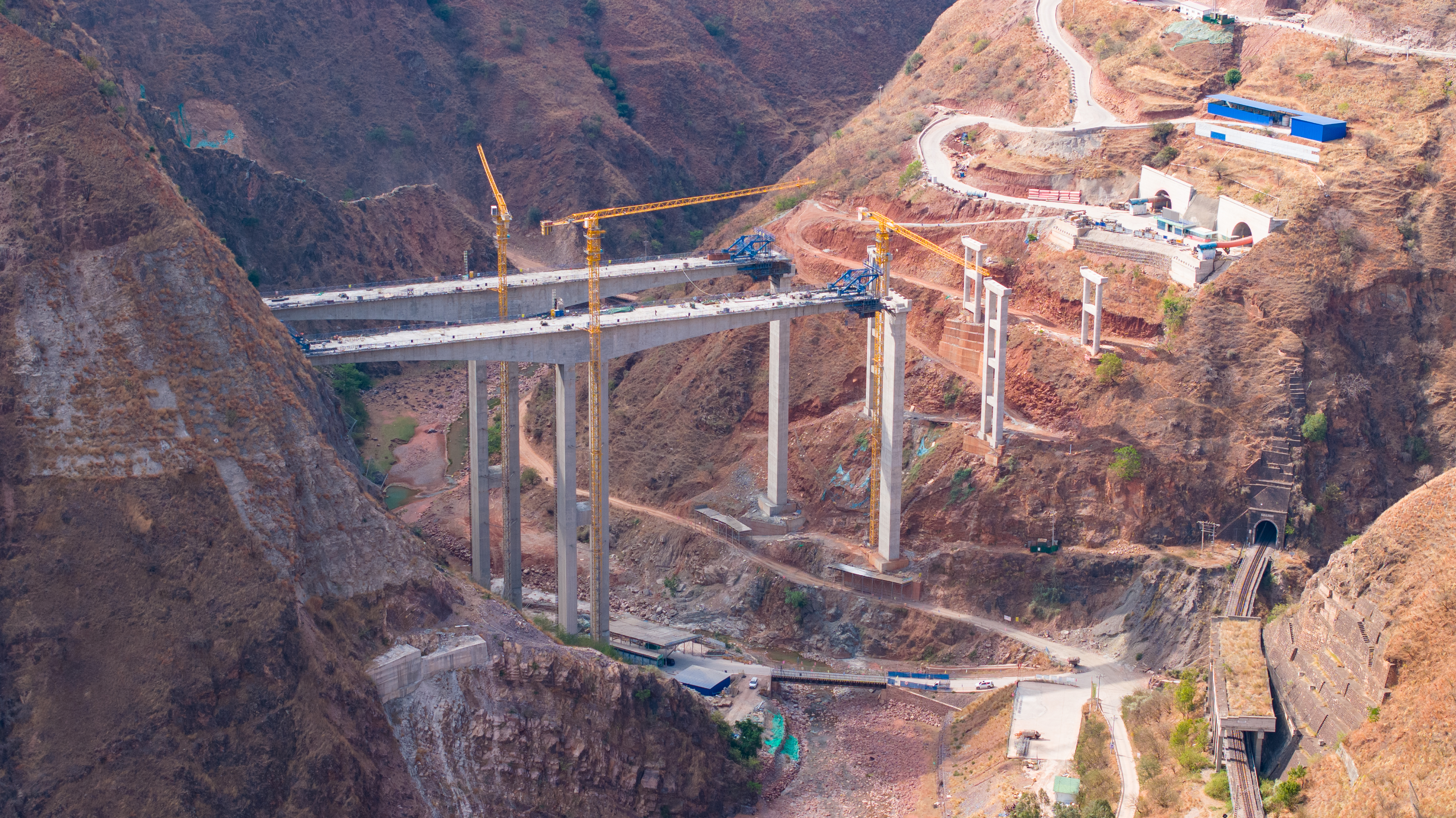 好消息！乐天使荣获2024年度工程建设行业信息化典型案...